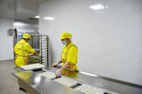 高標(biāo)準(zhǔn) 高收成 肇慶農(nóng)產(chǎn)品有一套 從農(nóng)田到市場(chǎng)的品質(zhì)密碼